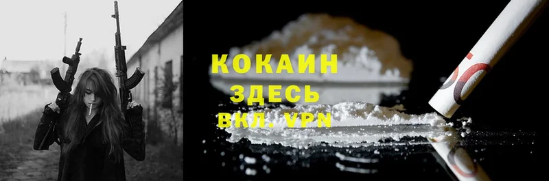 цена   Катайск  COCAIN VHQ 