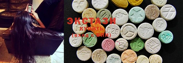 ECSTASY Богданович