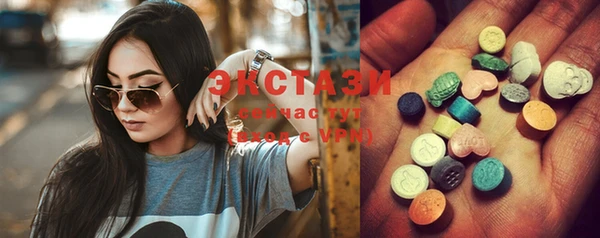 ECSTASY Богданович